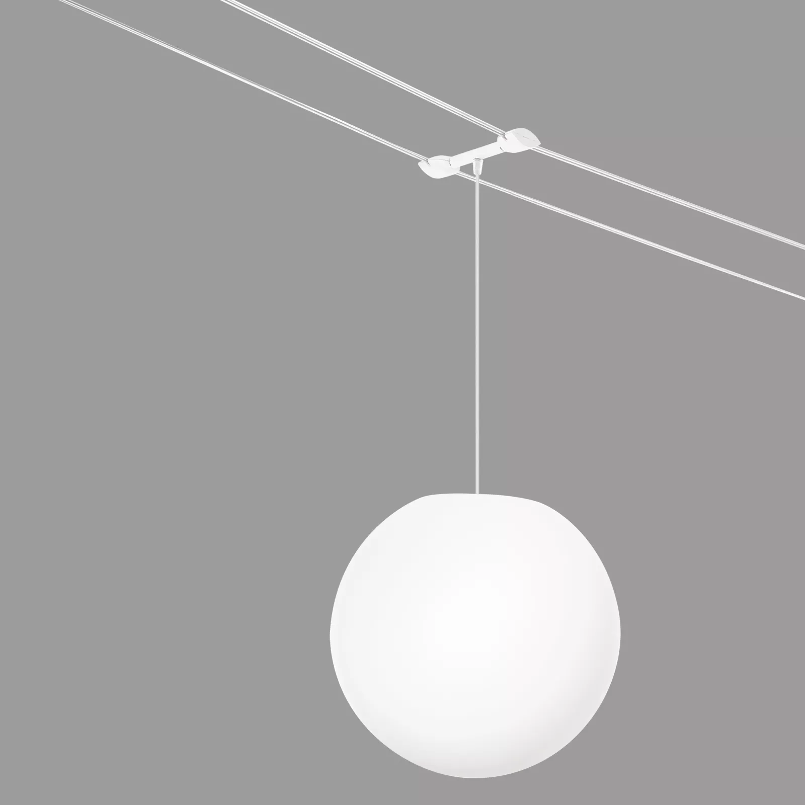 Oh!-C30 | Indoor | Catenary and Systems | Linea Light